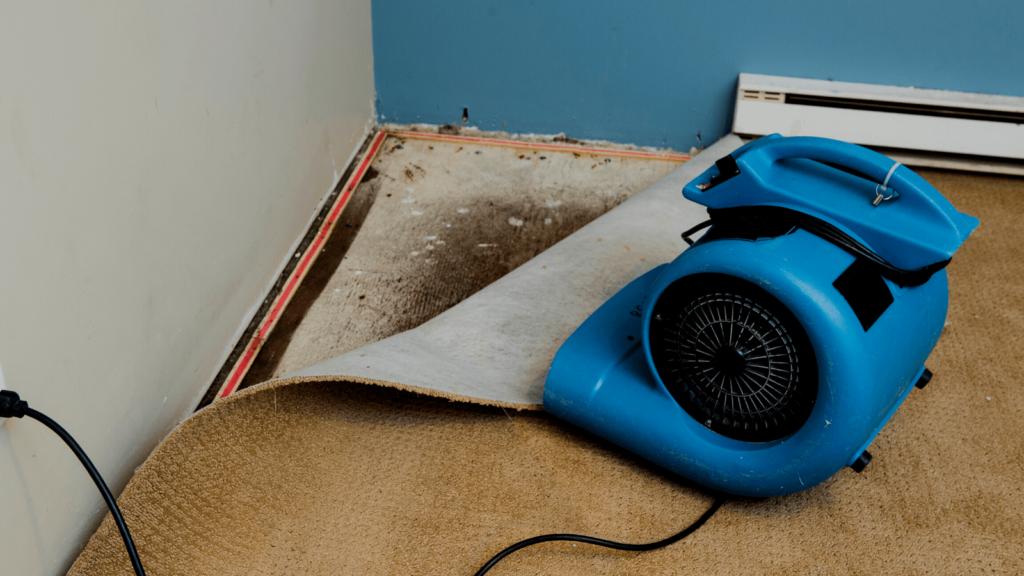 Flood cleaning services Sydney