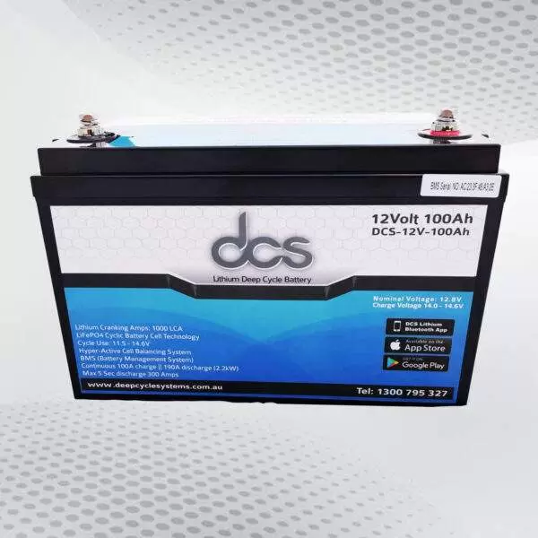 100 amp deep cycle battery
