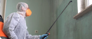 Mould Removal Company Sydney