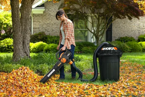 Garden Vacuum Brisbane
